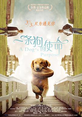 在线亚洲自拍